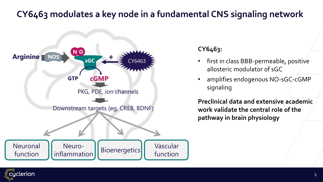 Slide 5