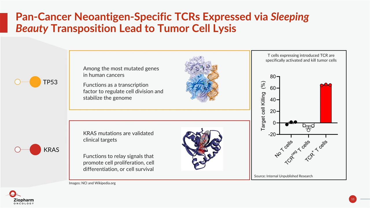 Slide 13