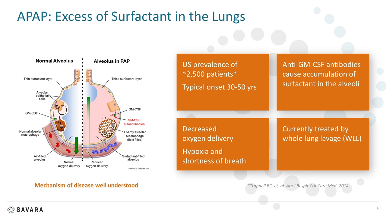 Slide 6