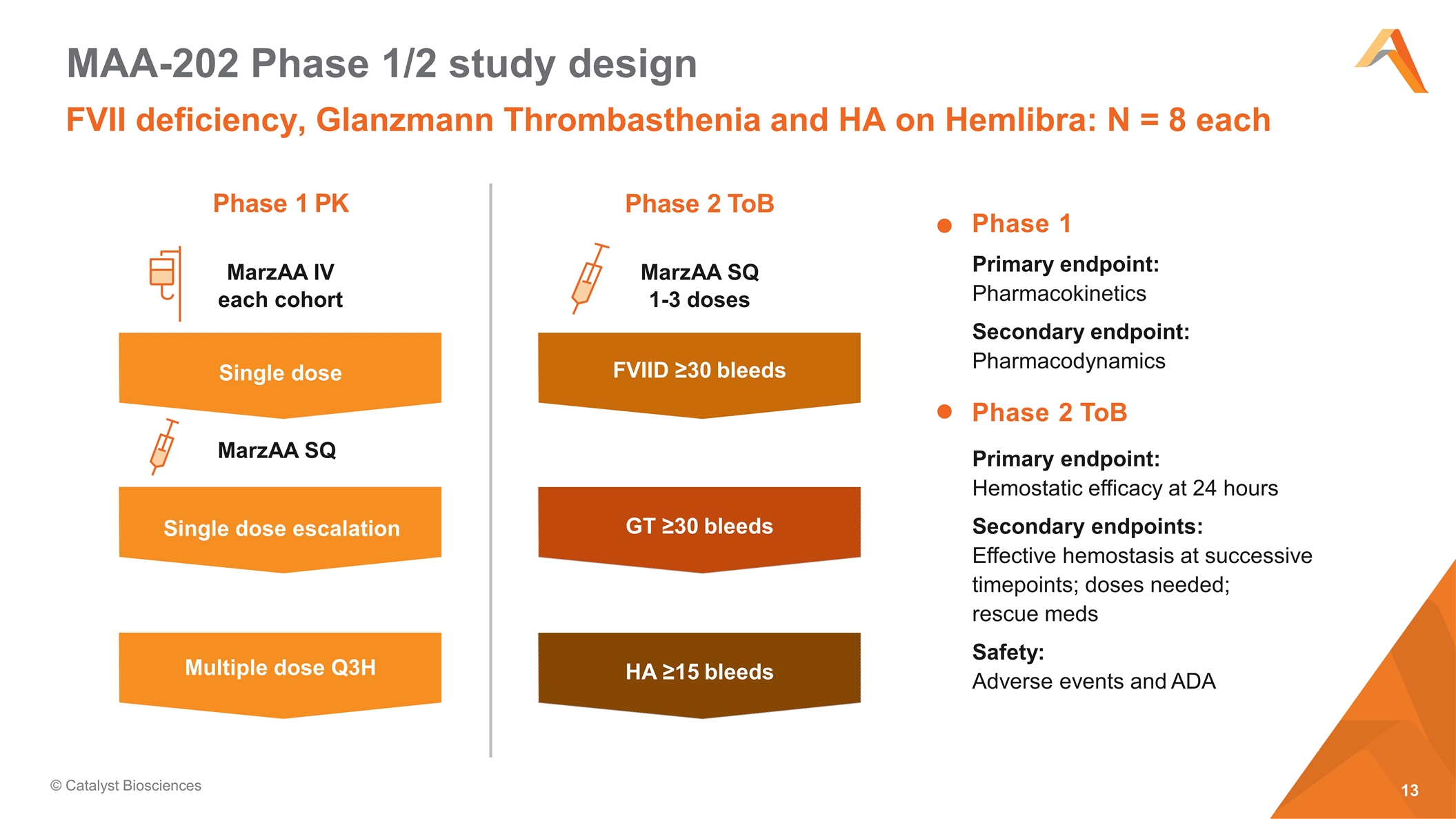 Slide 13