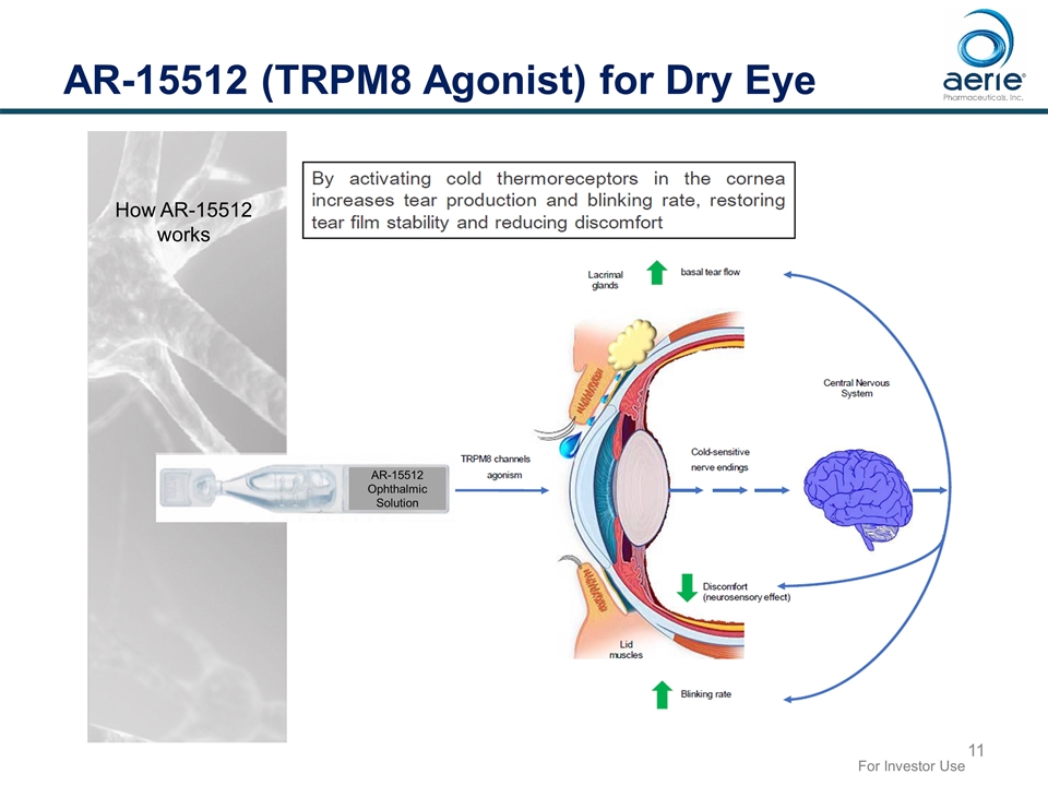 Slide 11