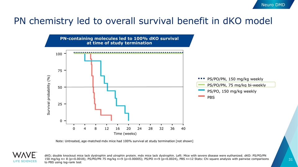 Slide 31