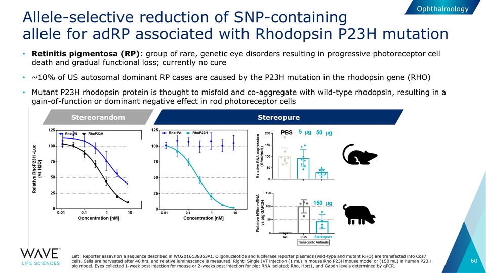 Slide 60