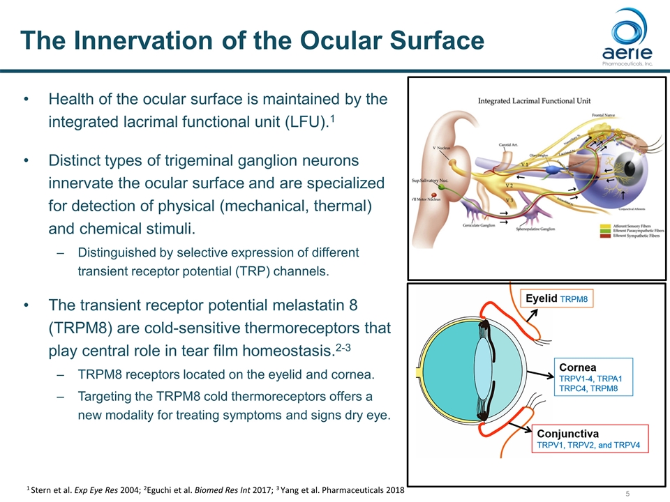 Slide 5