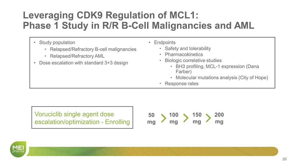 Slide 20