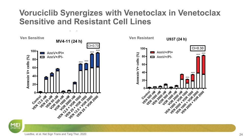 Slide 24