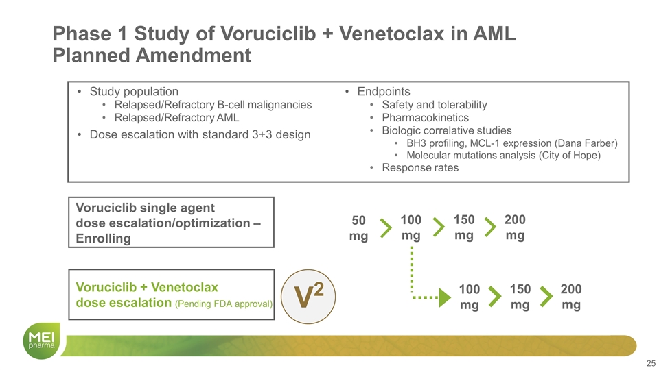 Slide 25