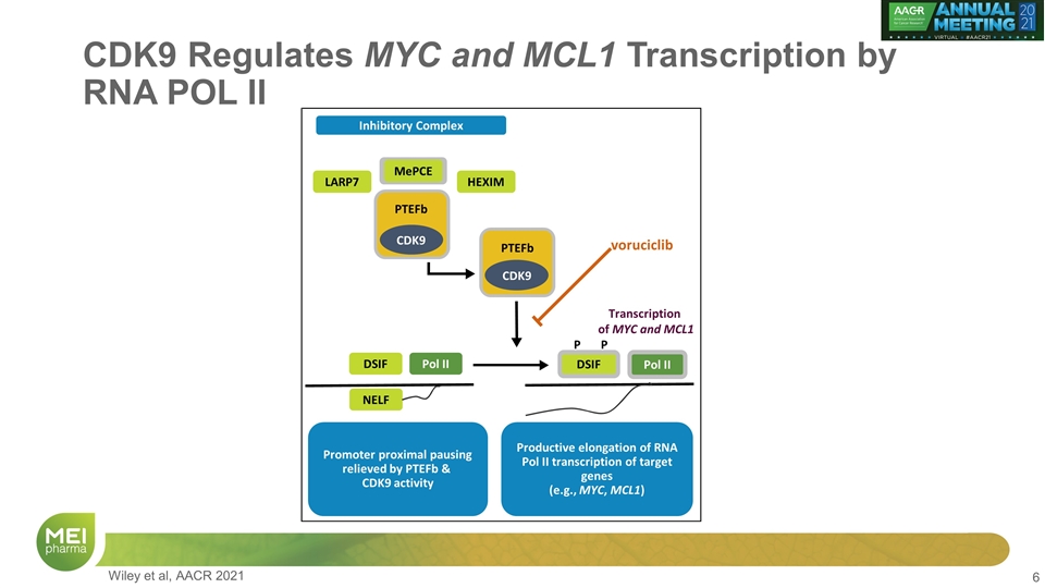 Slide 6