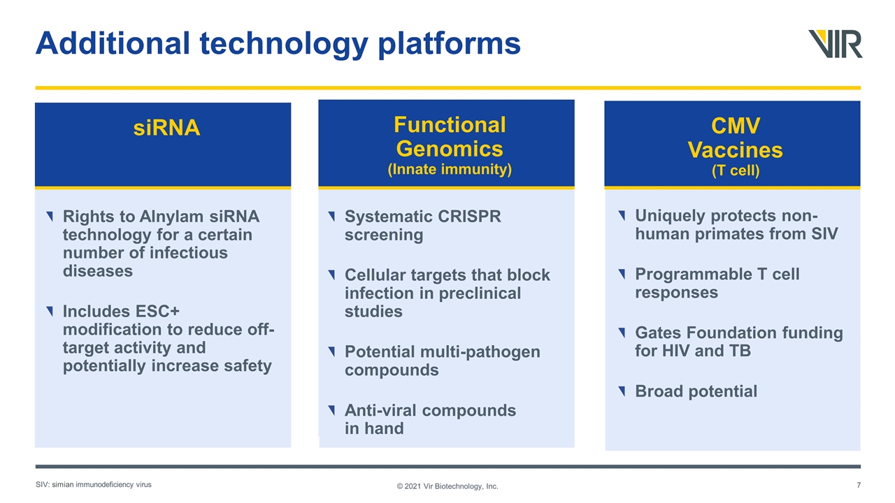 Slide 7