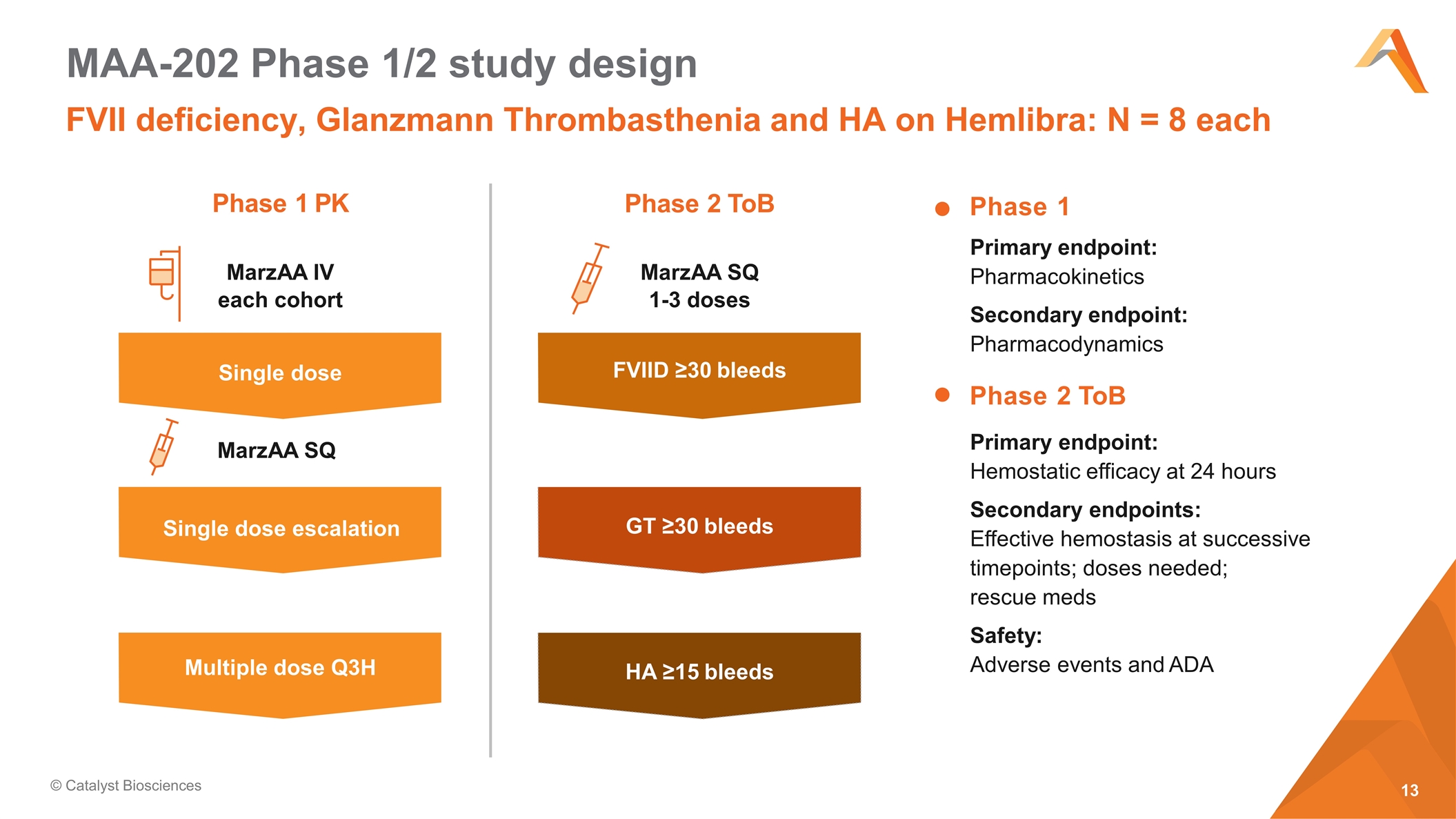 Slide 13