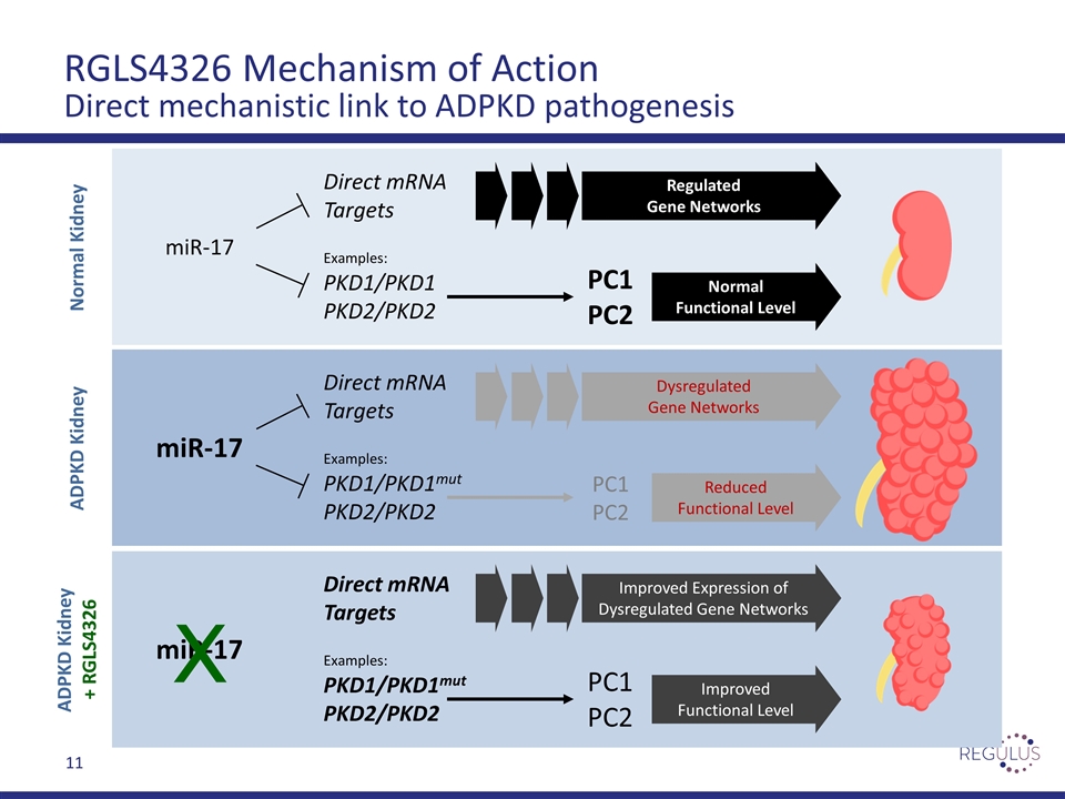 Slide 11