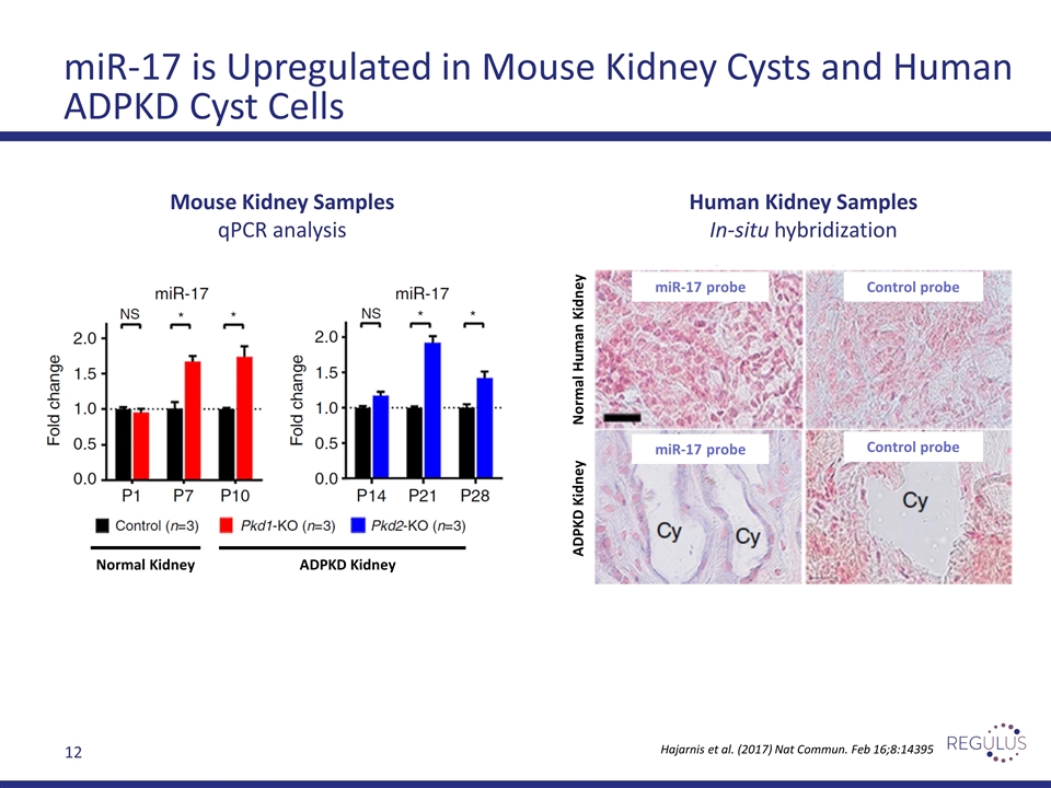 Slide 12