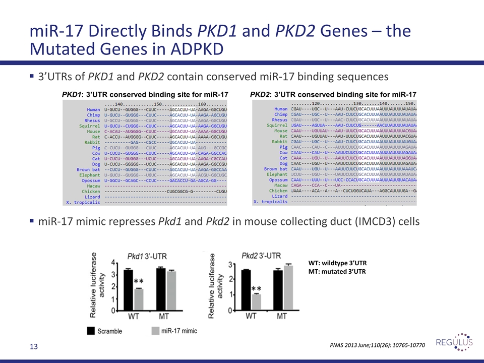 Slide 13