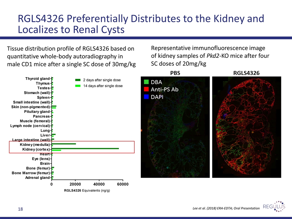 Slide 18