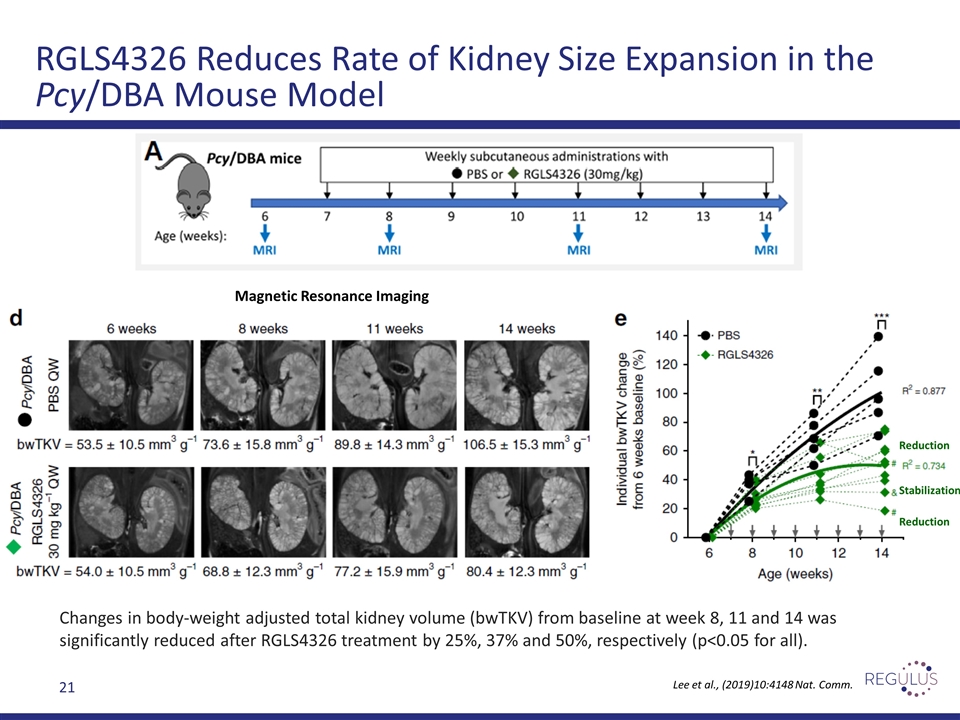 Slide 21