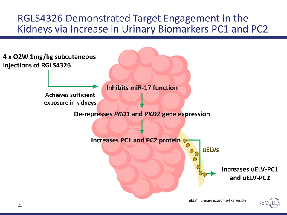 Slide 23