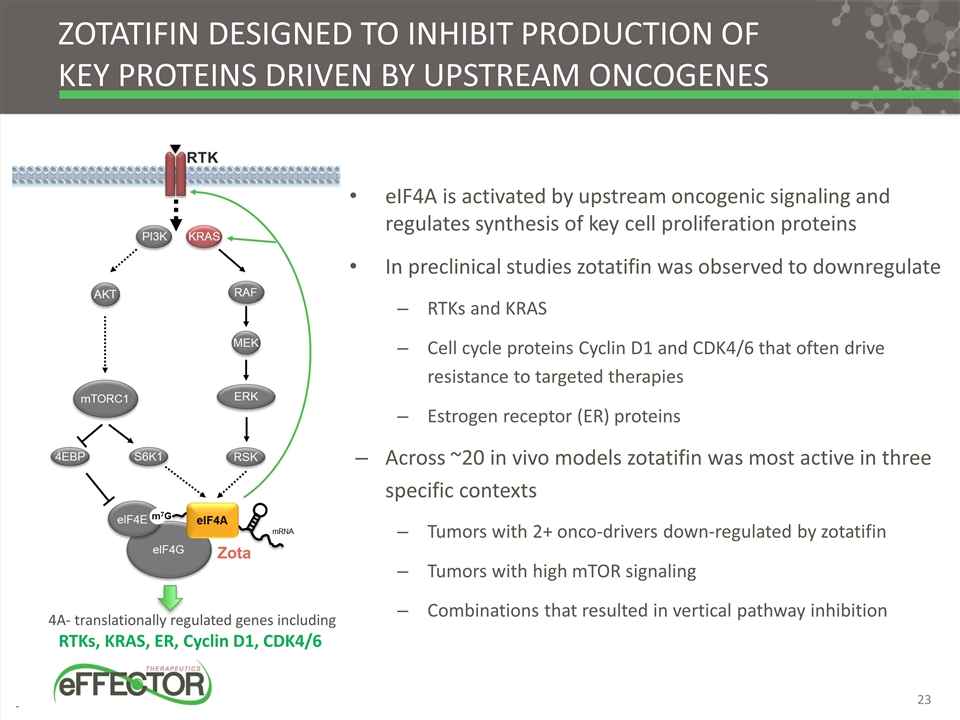 Slide 23