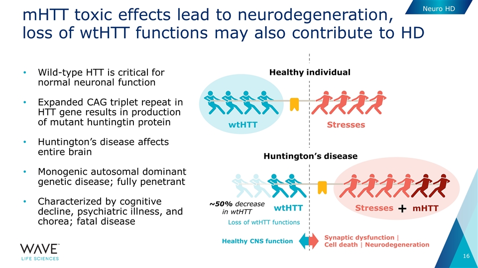 Slide 16