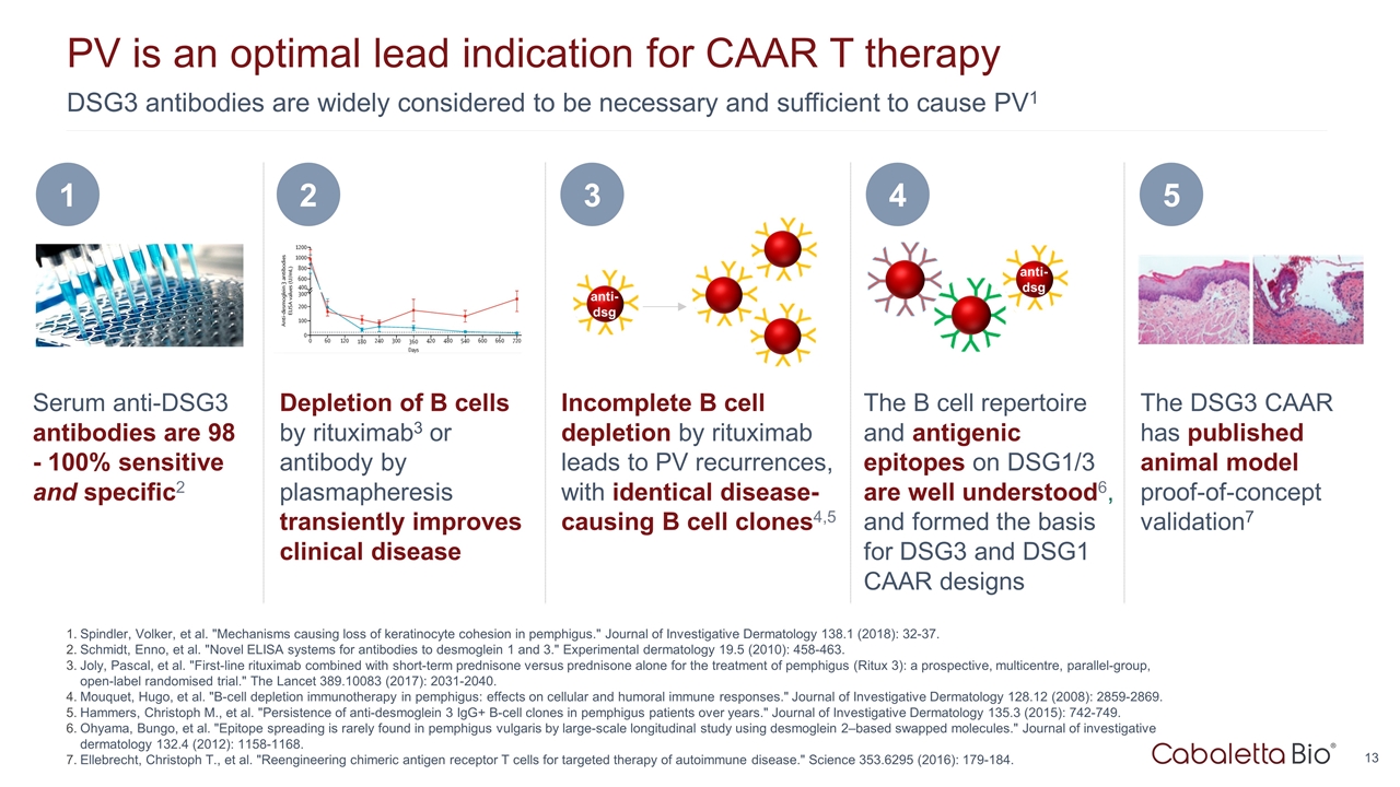 Slide 13