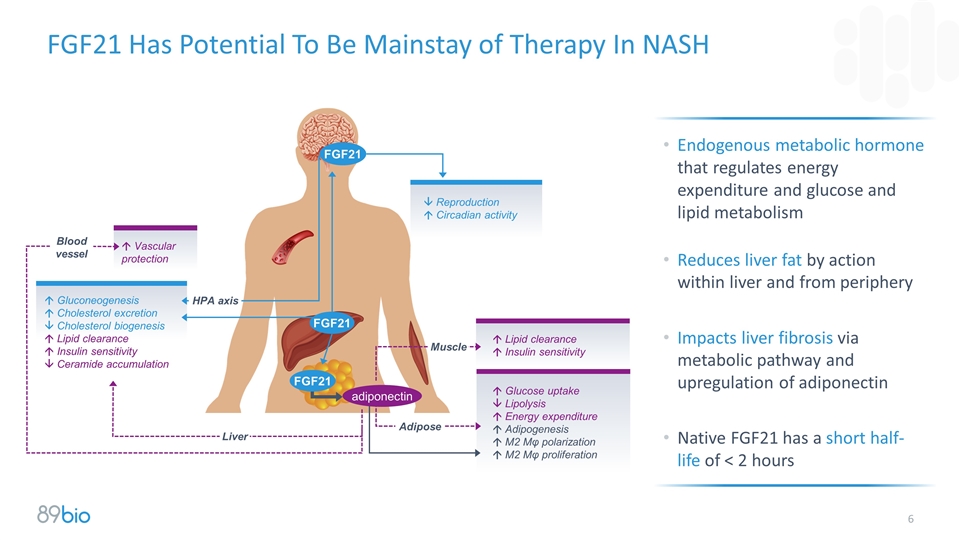 Slide 6