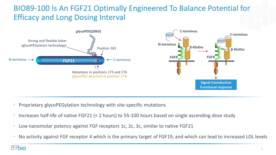 Slide 7