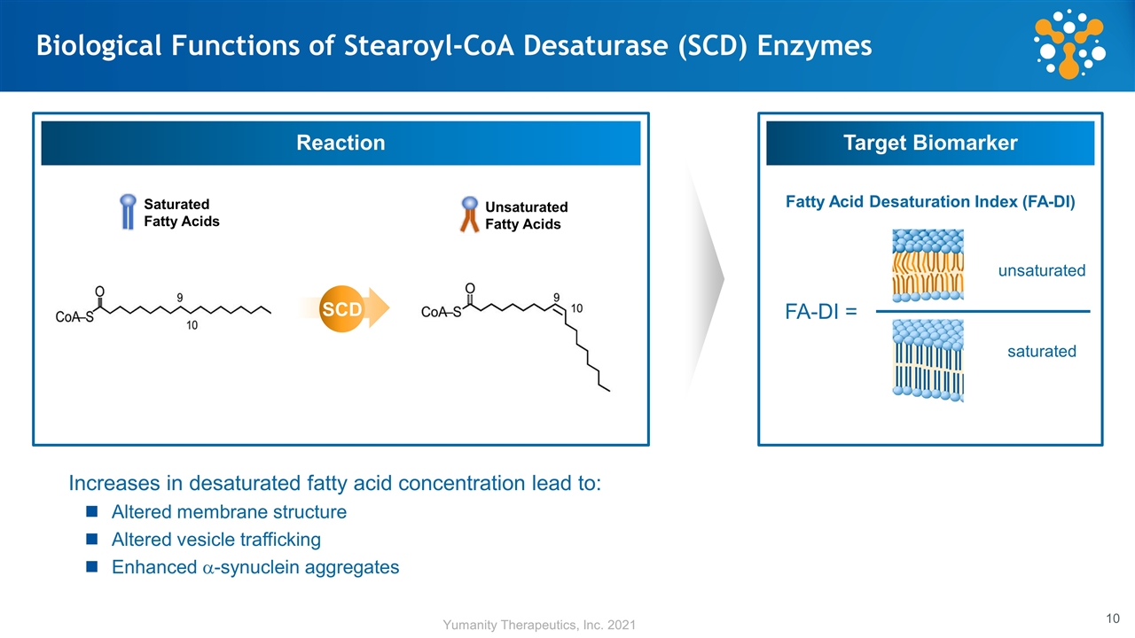 Slide 10