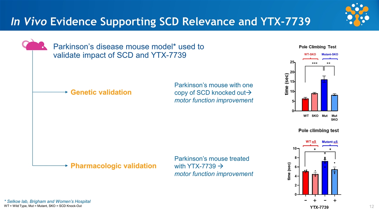 Slide 12