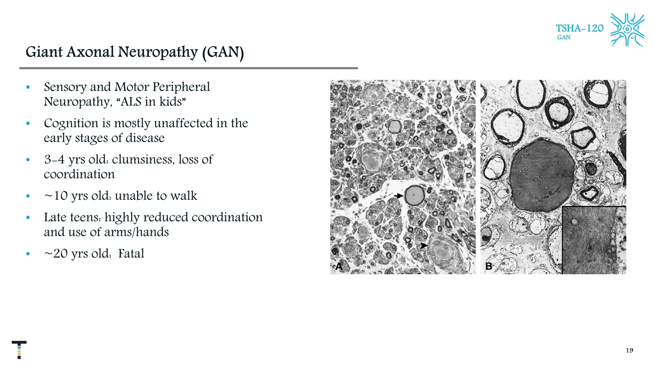 Slide 19