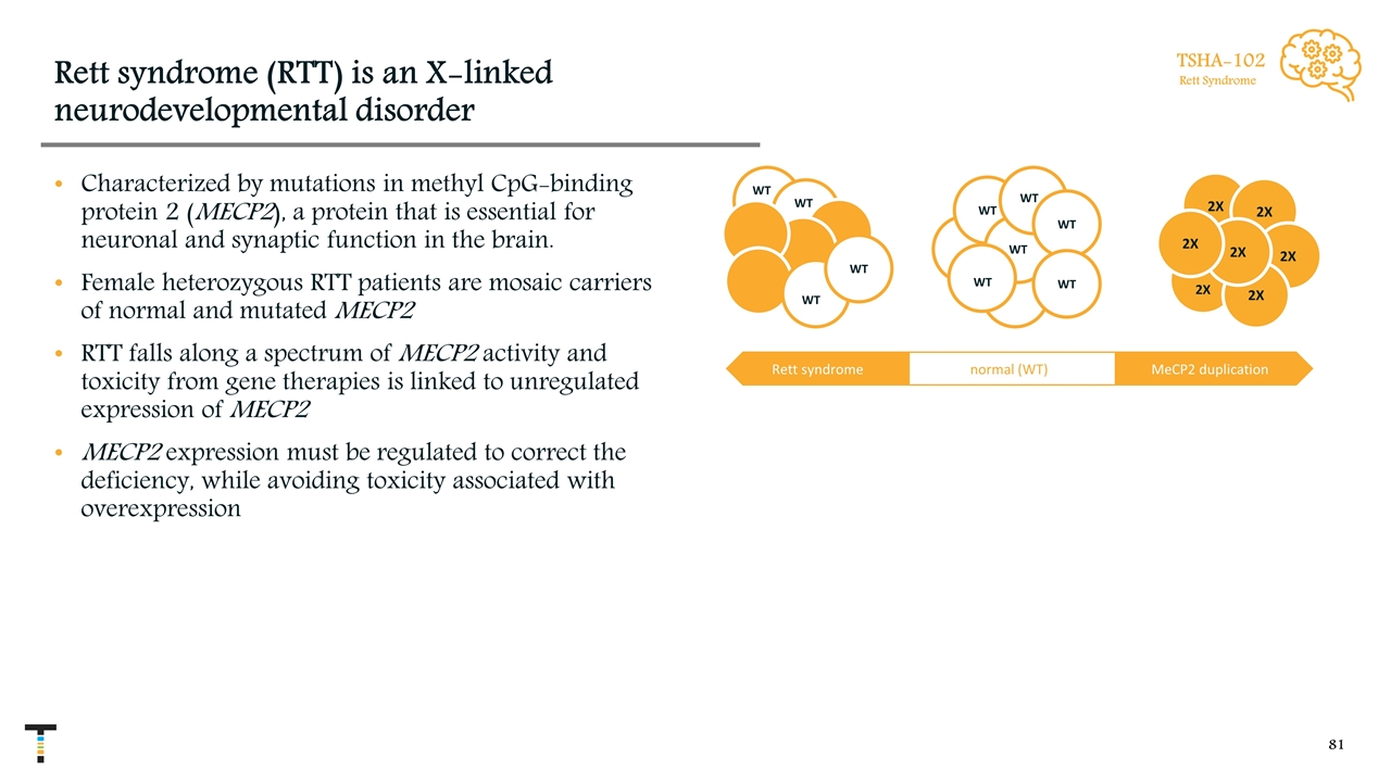 Slide 81