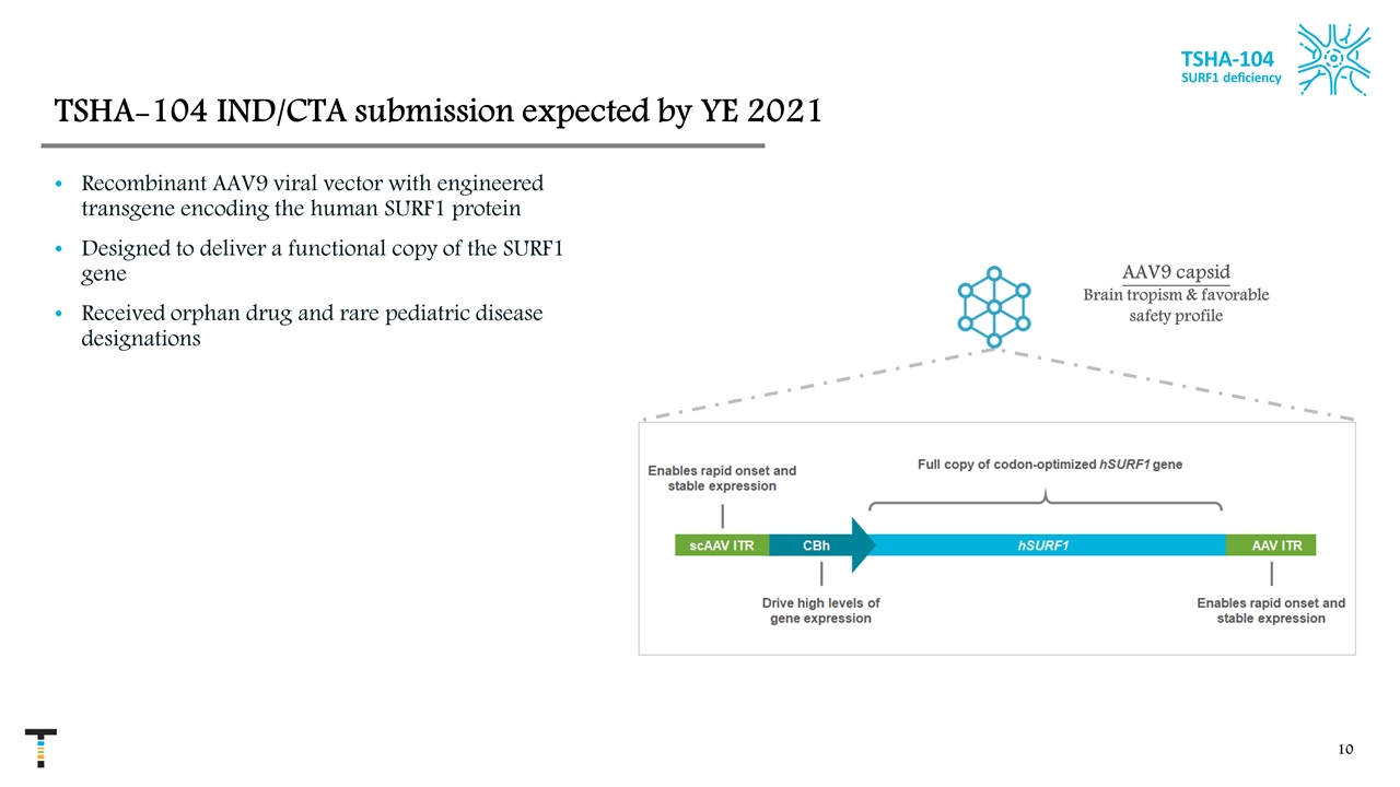 Slide 10