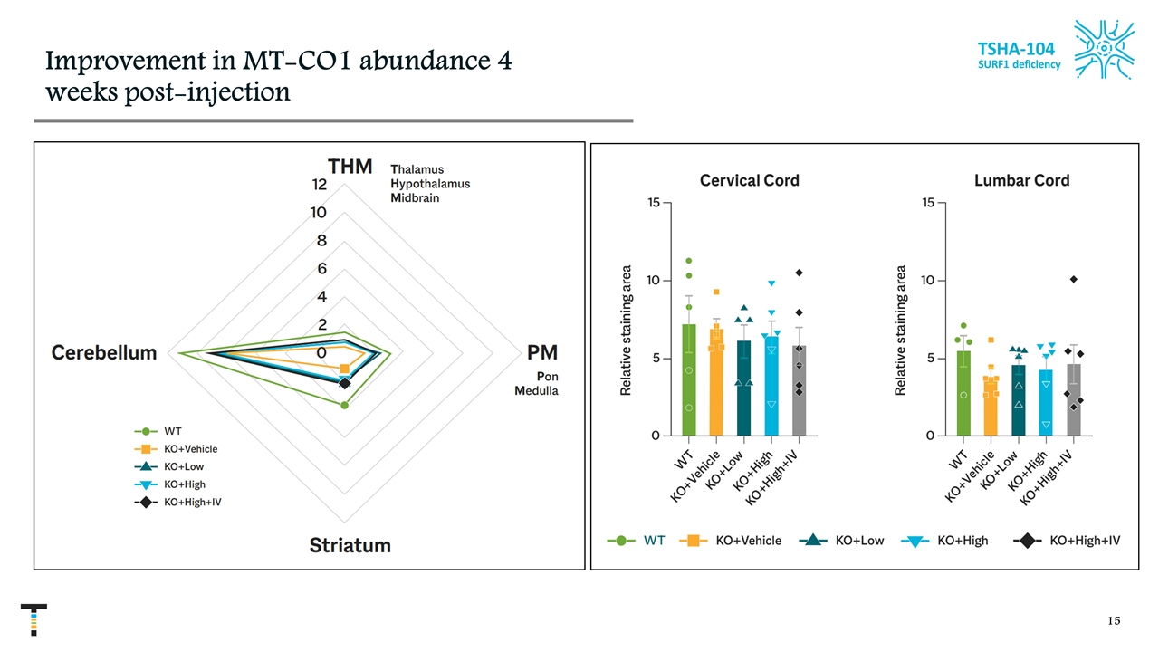 Slide 15