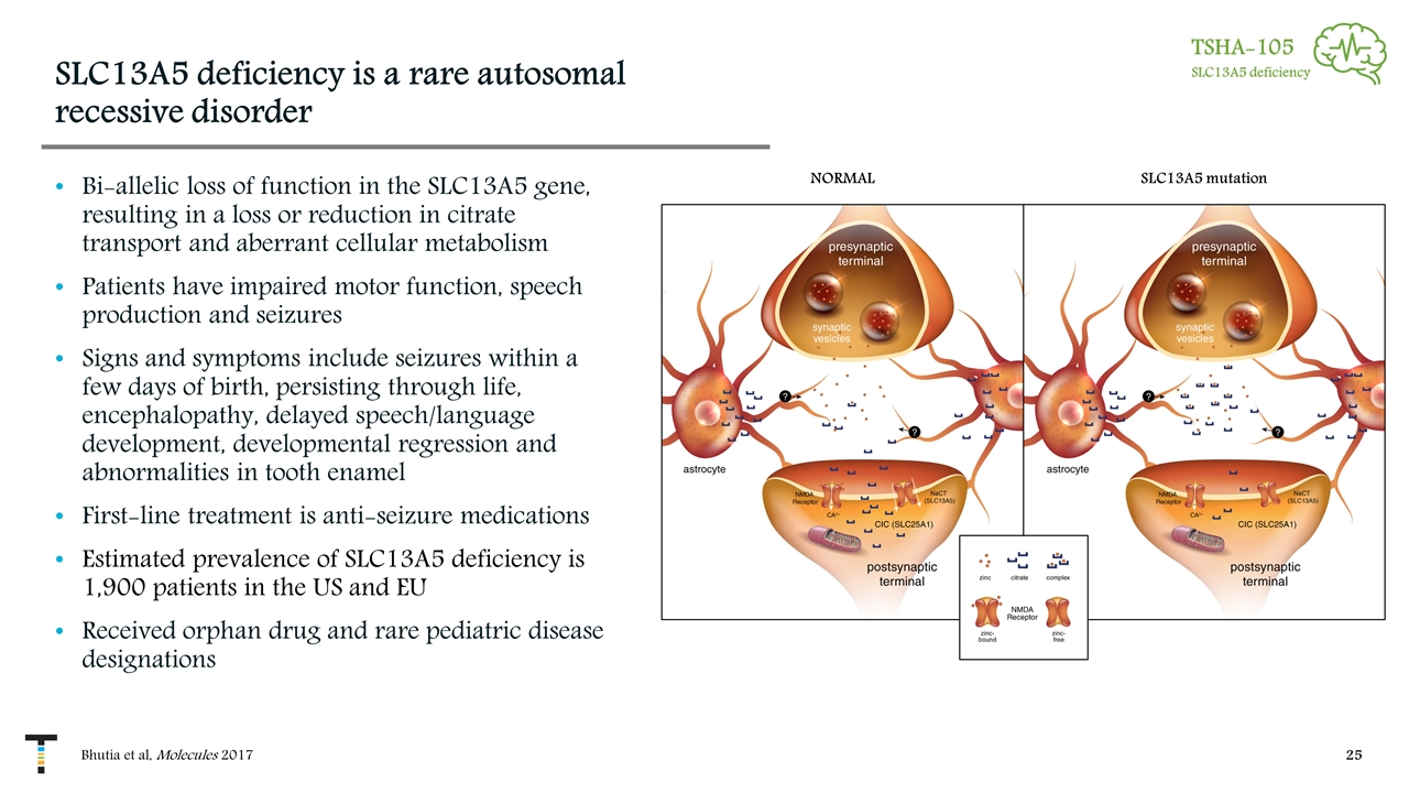 Slide 25