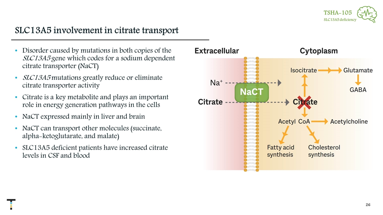 Slide 26