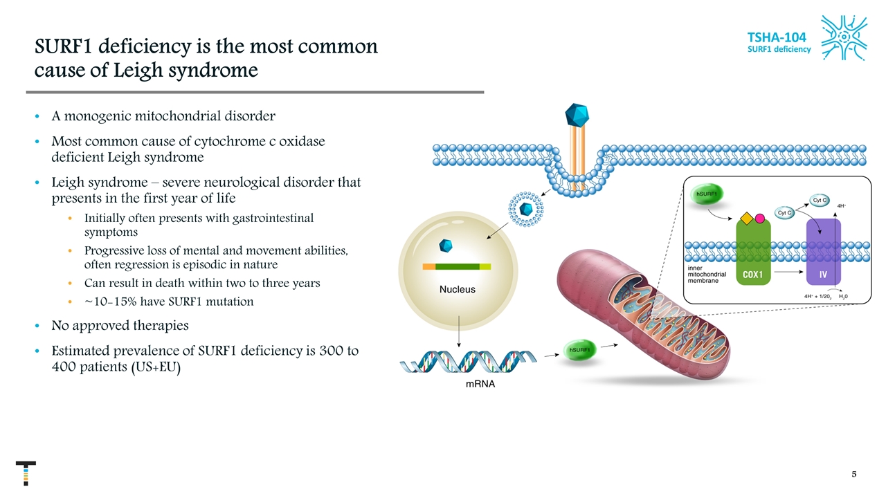 Slide 5