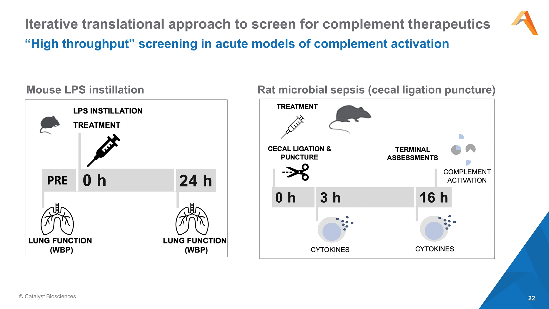 Slide 22