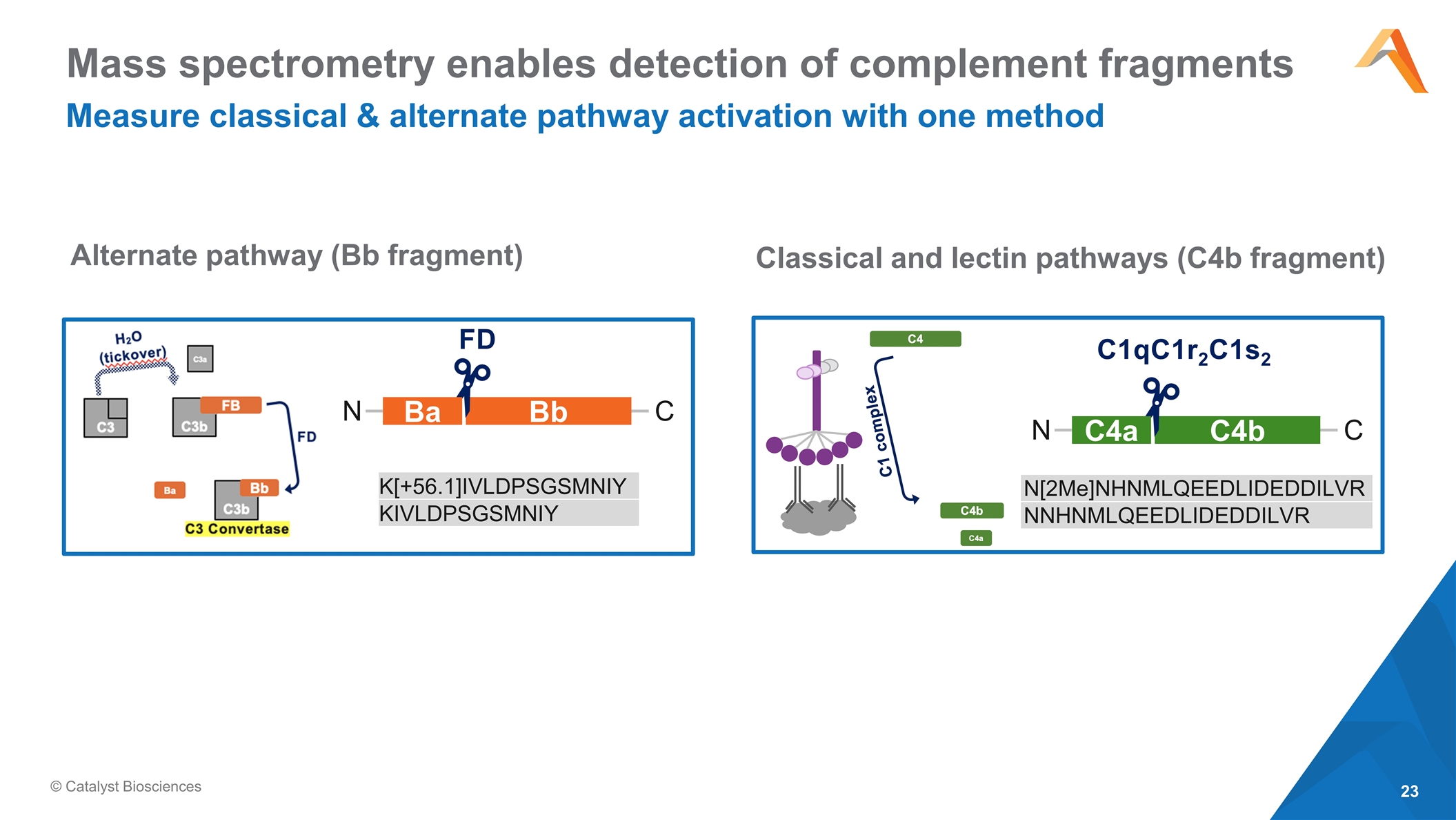 Slide 23