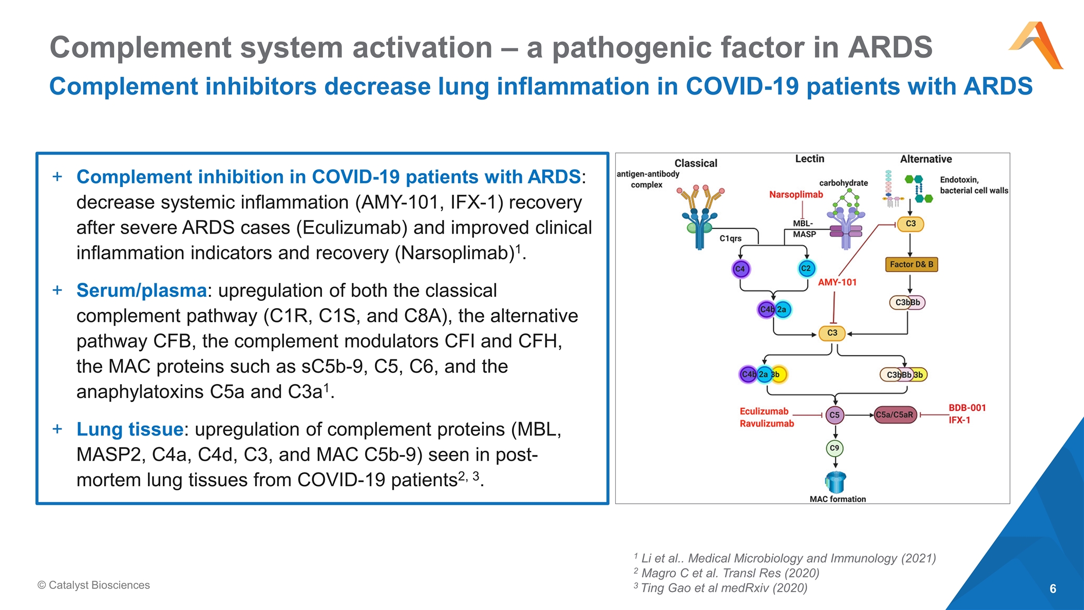 Slide 6