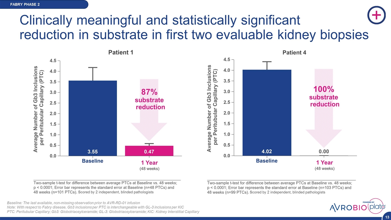 Slide 13