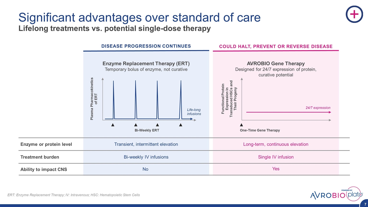 Slide 7