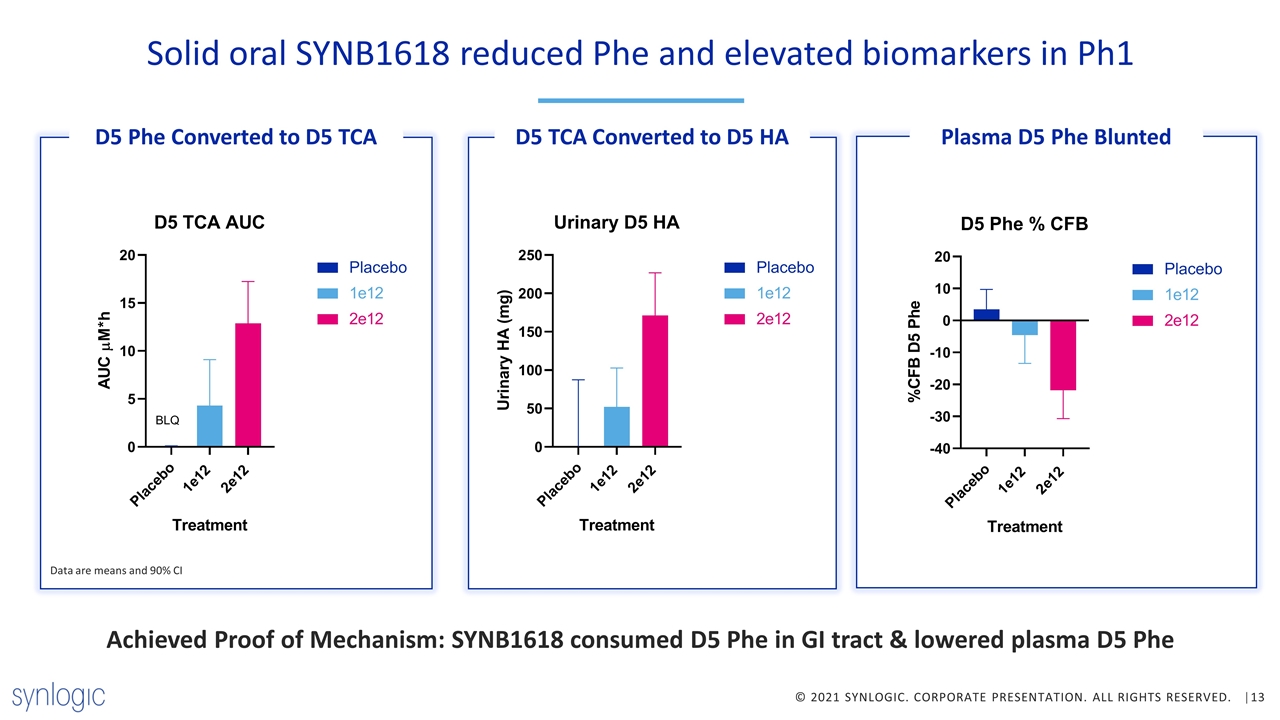 Slide 13