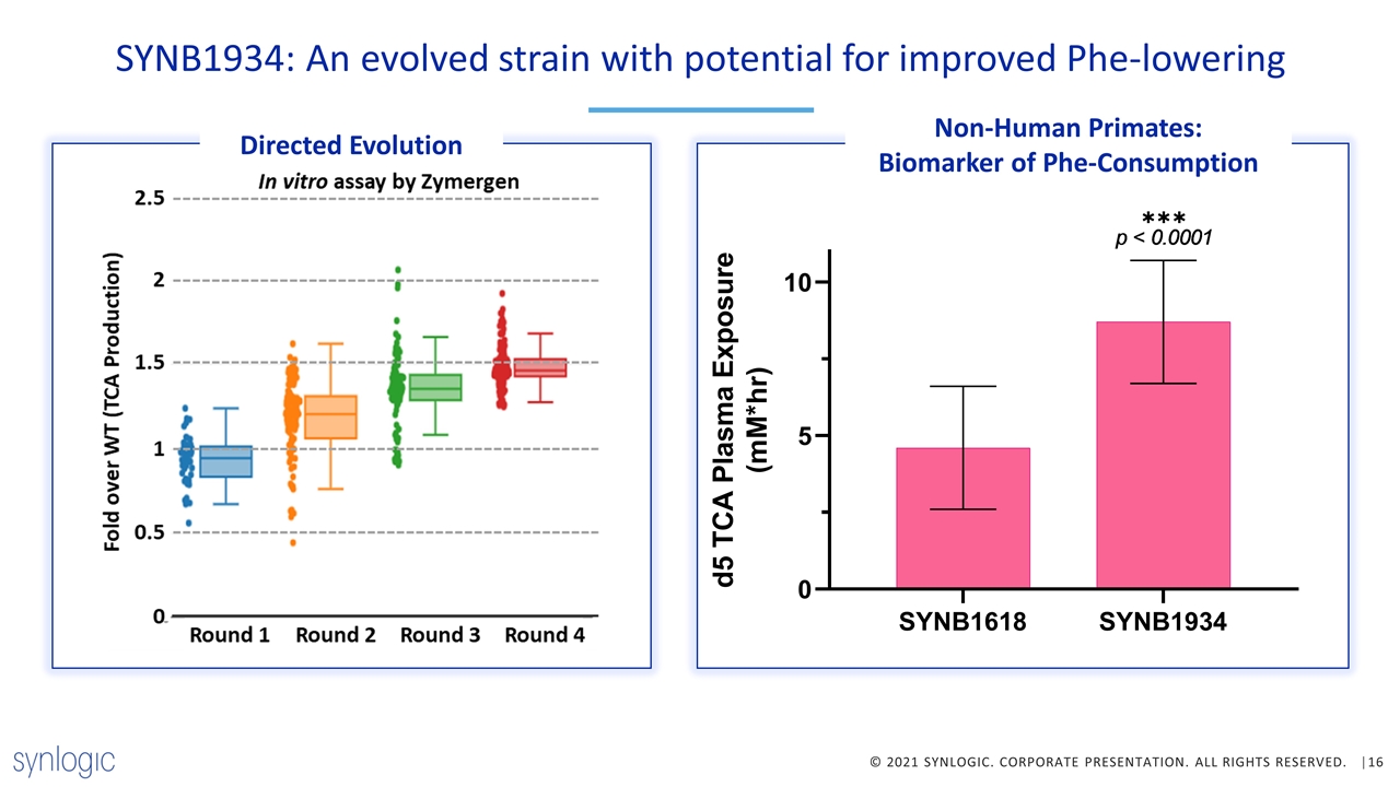 Slide 16