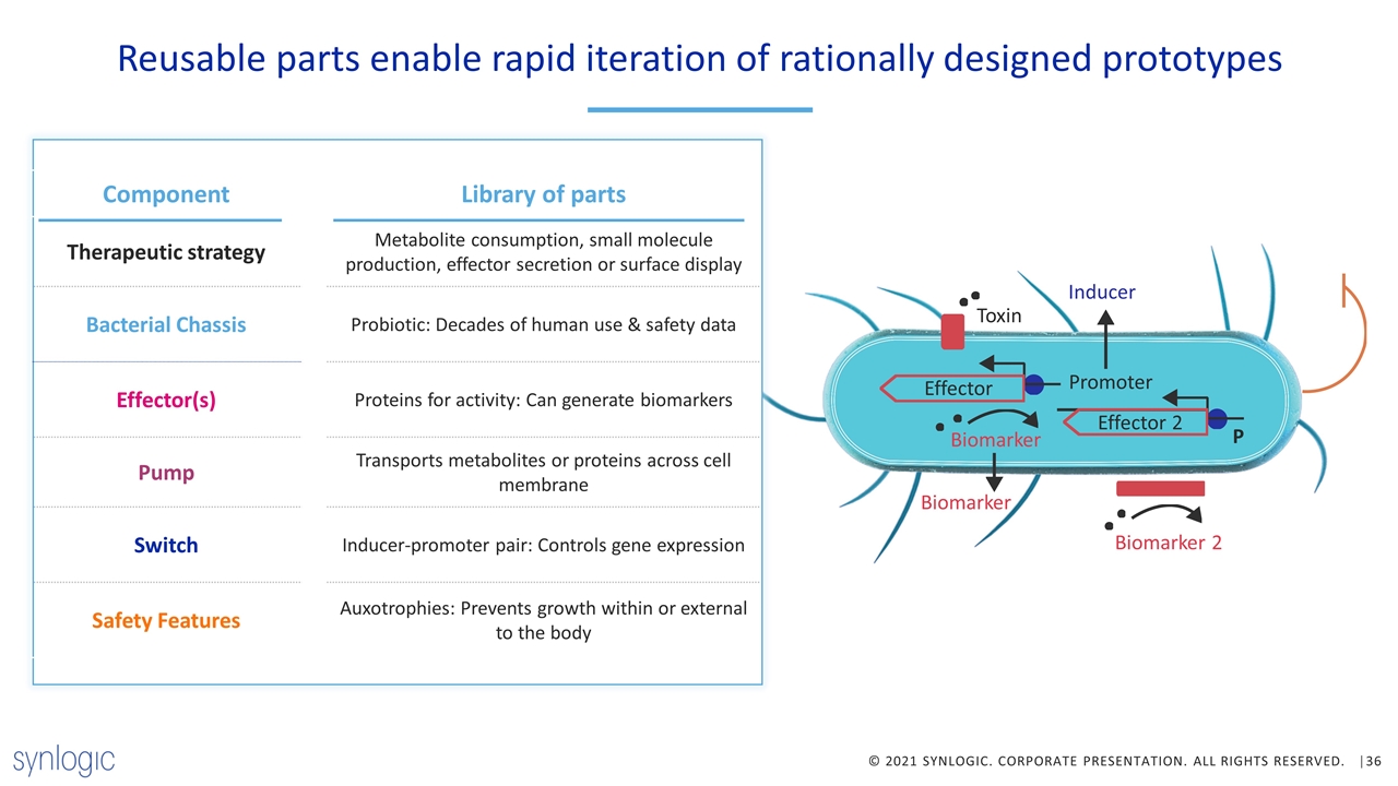 Slide 36