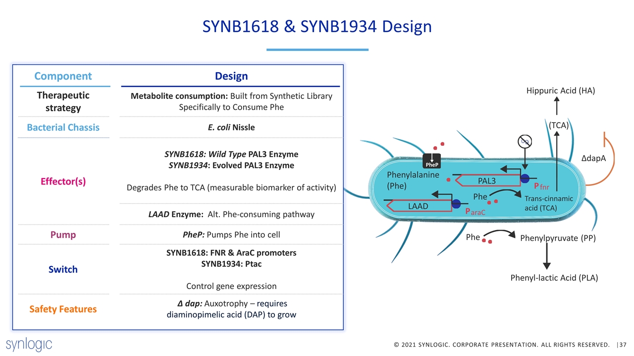 Slide 37