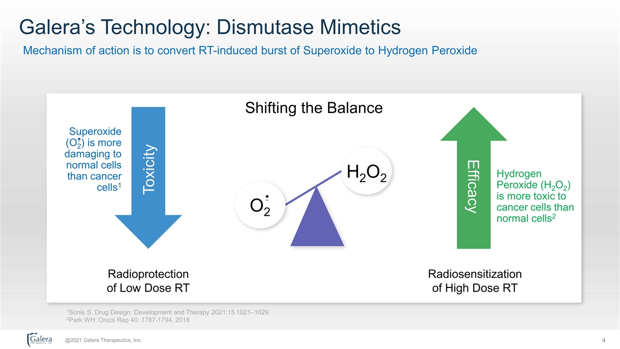 Slide 4