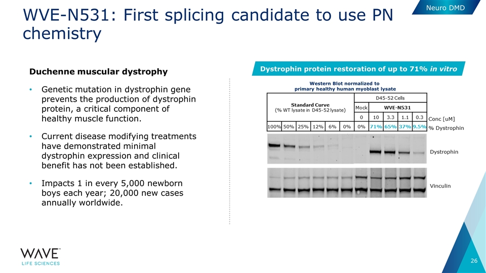 Slide 26