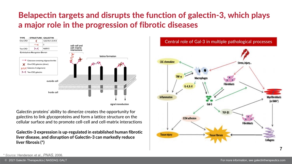 Slide 7