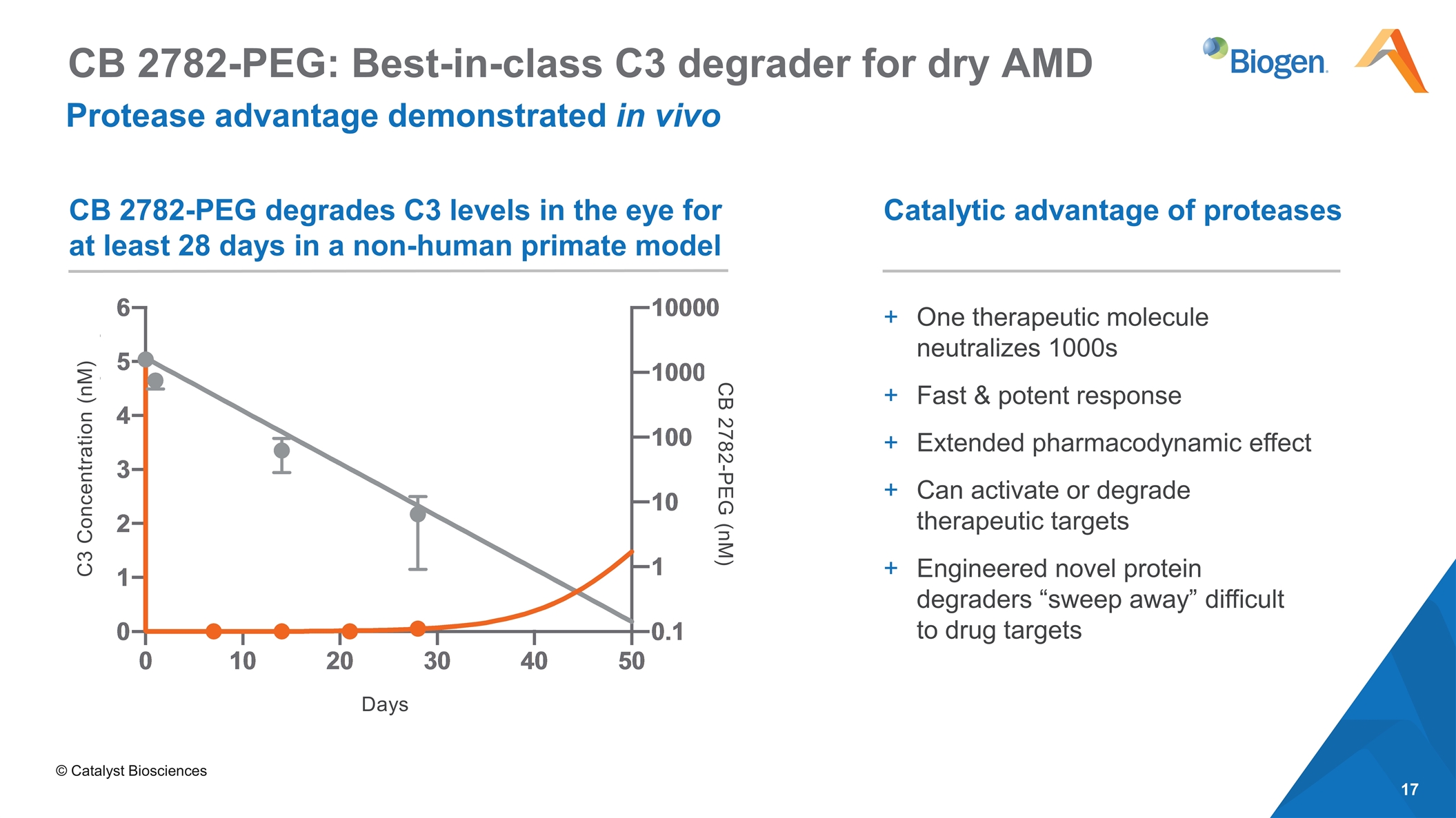 Slide 17