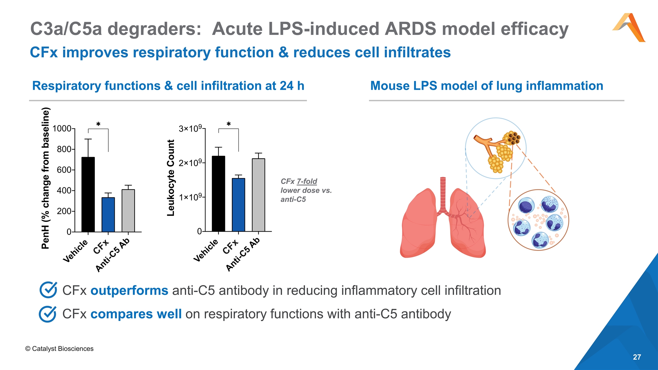 Slide 27