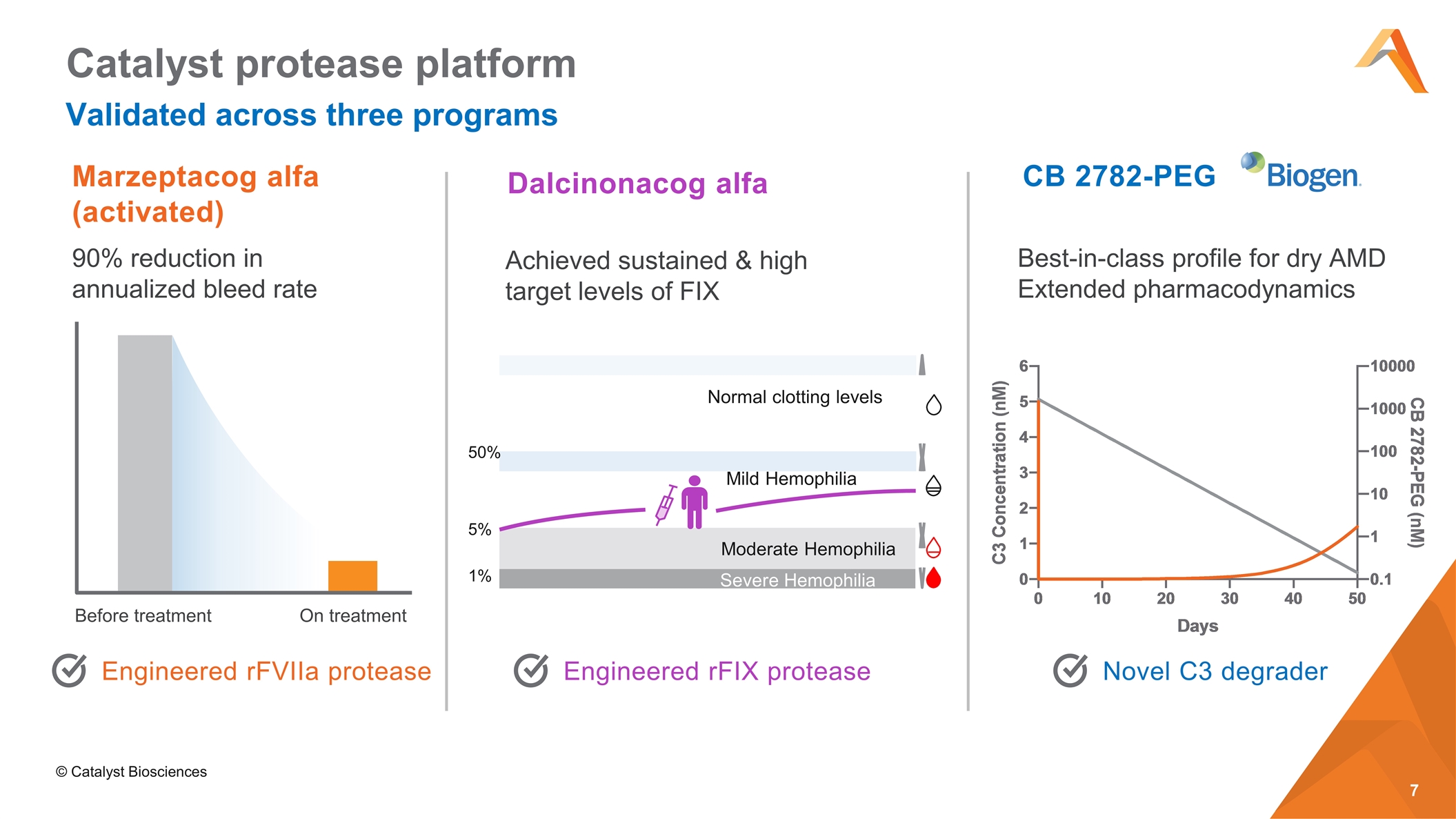 Slide 7