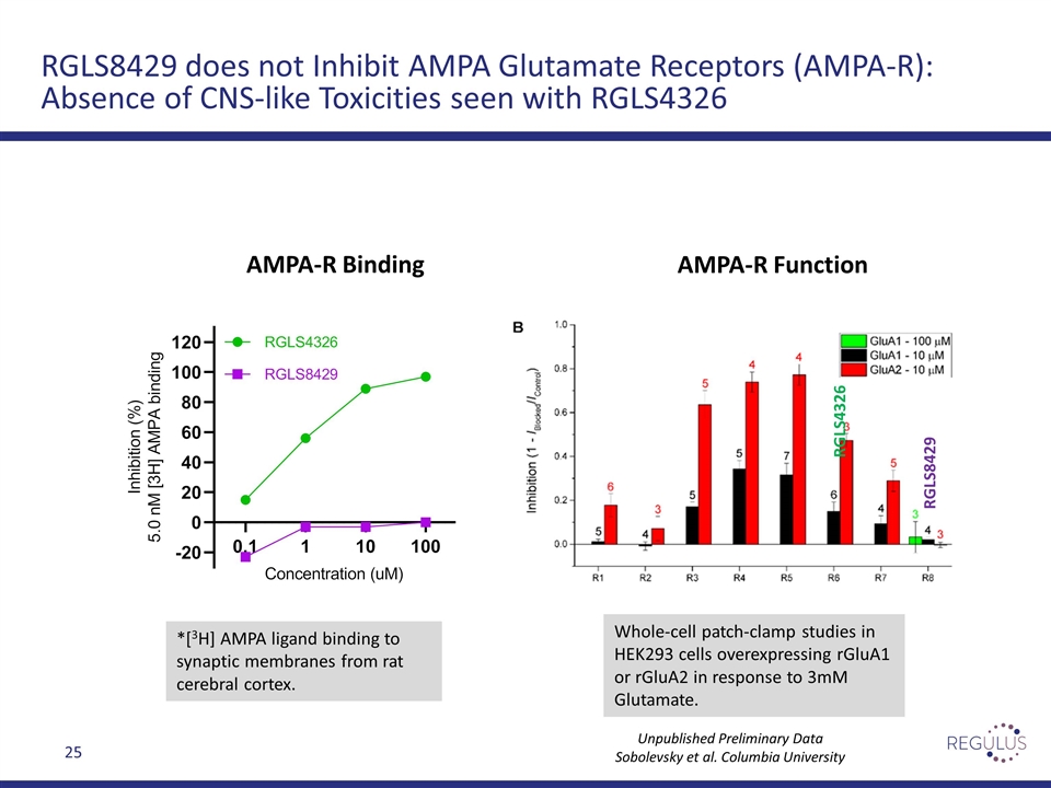 Slide 25